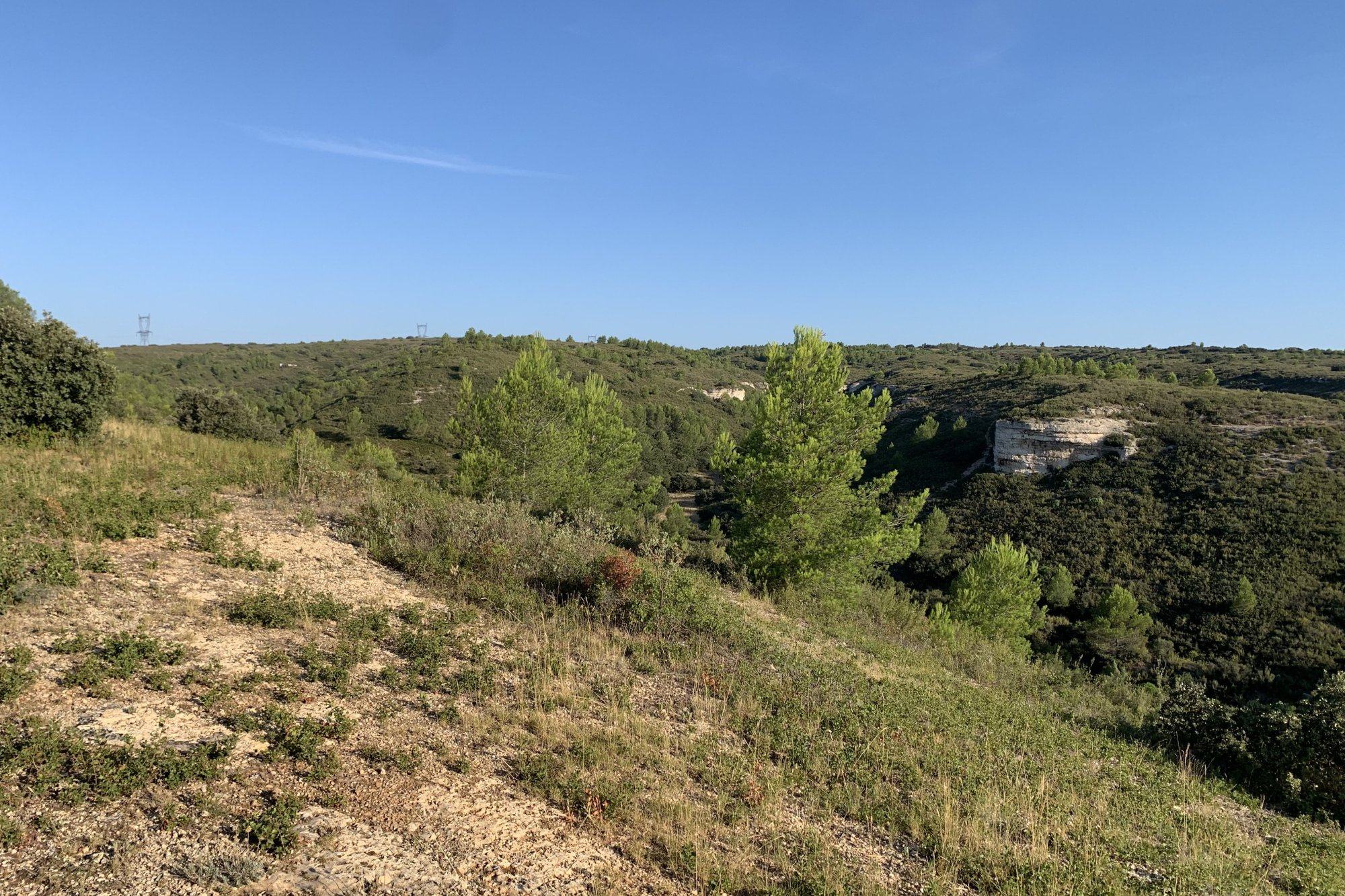 Vue du 06/08/2024