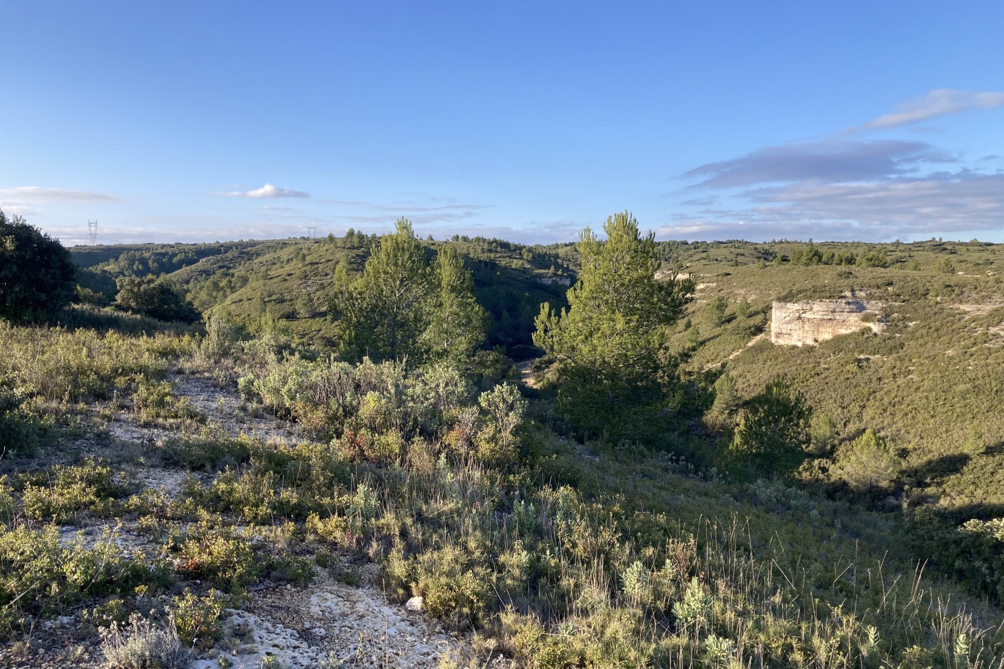 Vue du 04/01/2026