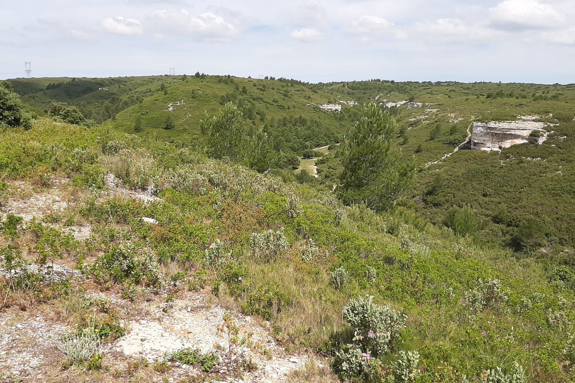 Vue du 06/06/2021