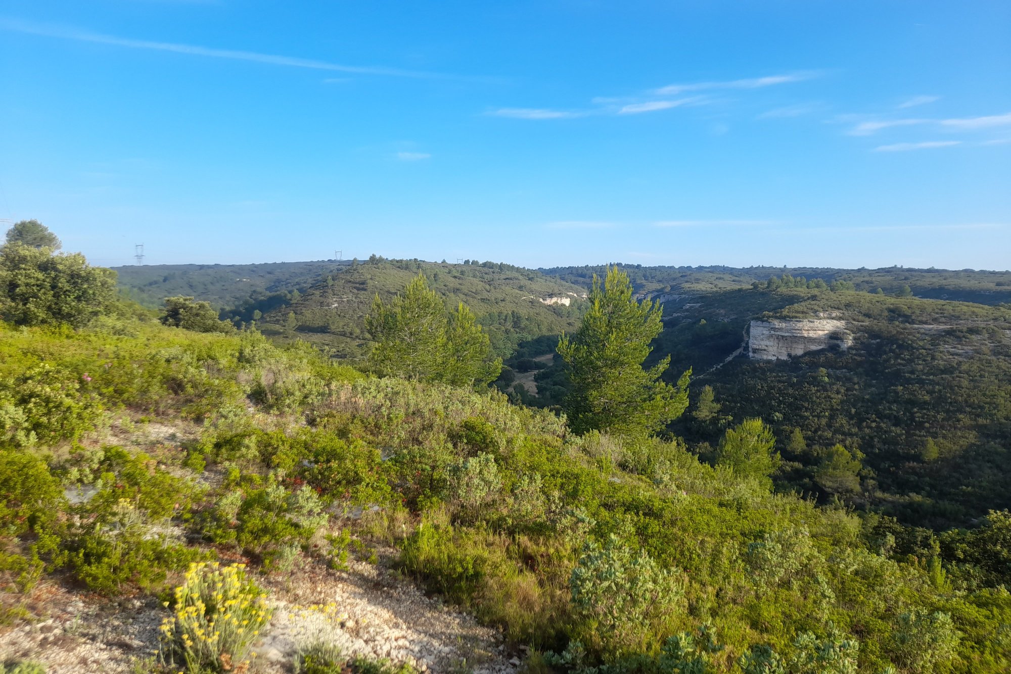 Vue du 04/06/2023