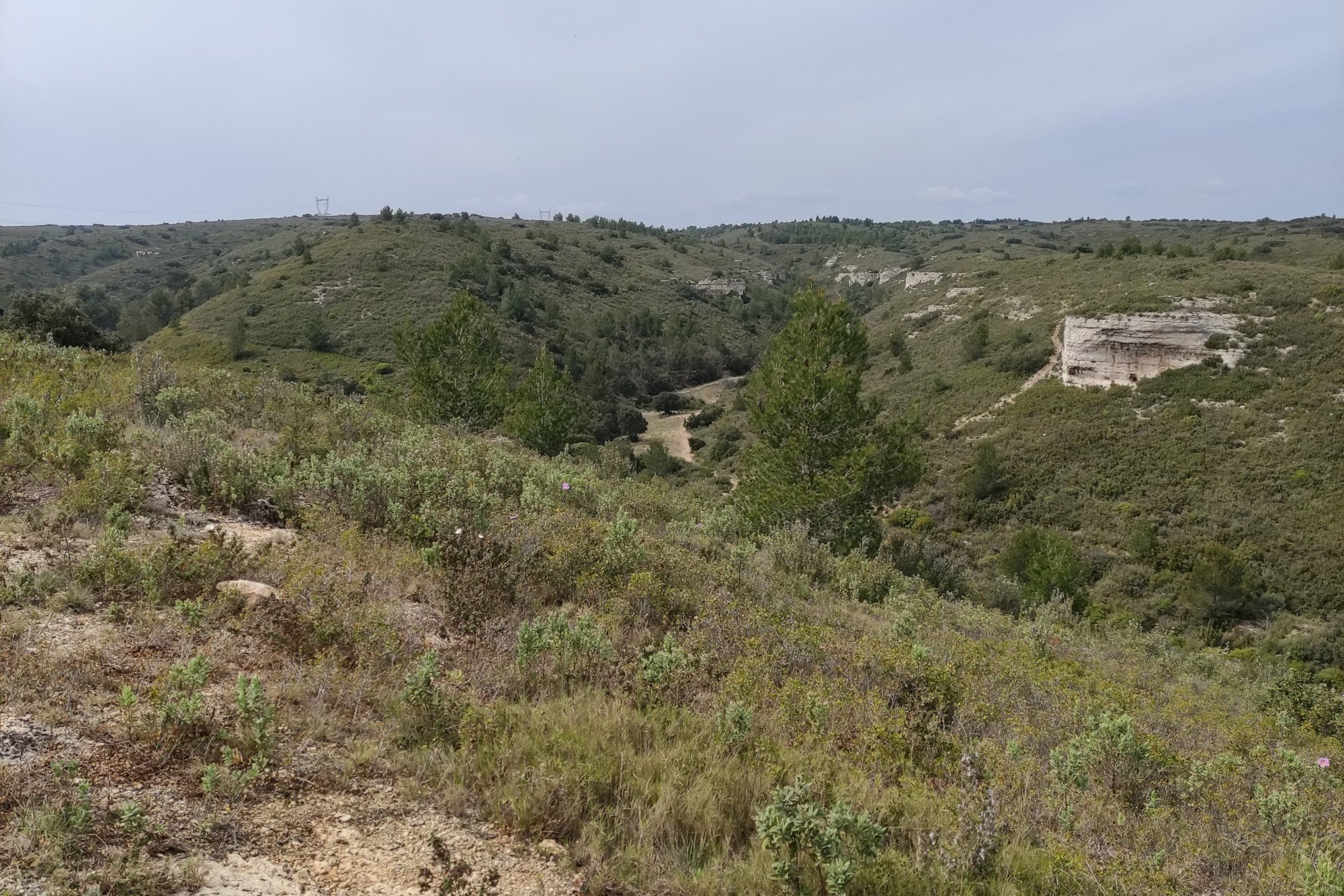 Vue du 20/04/2021