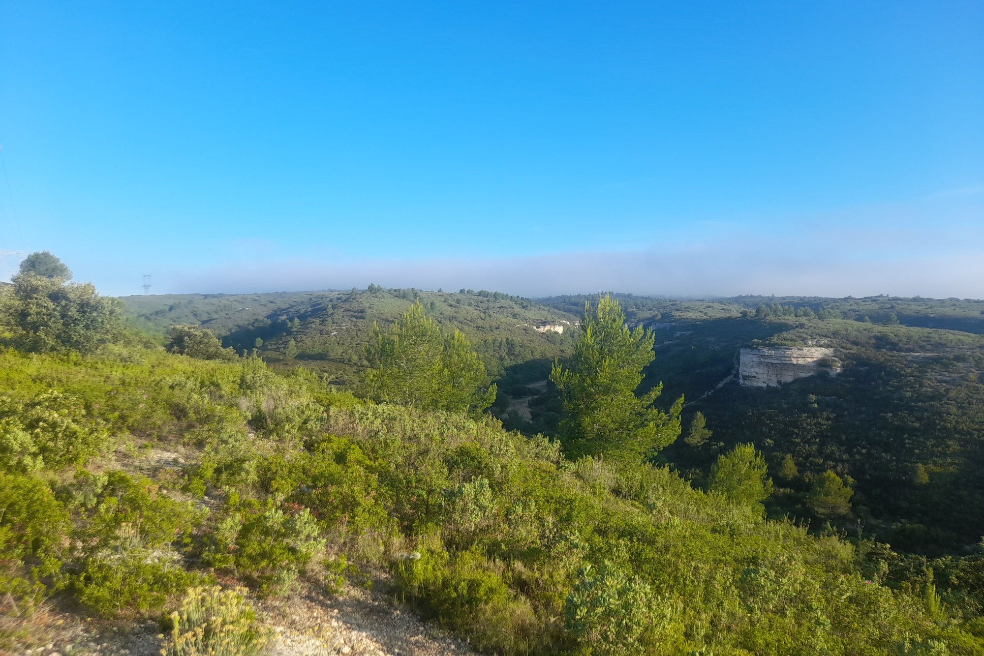 Vue du 11/06/2023