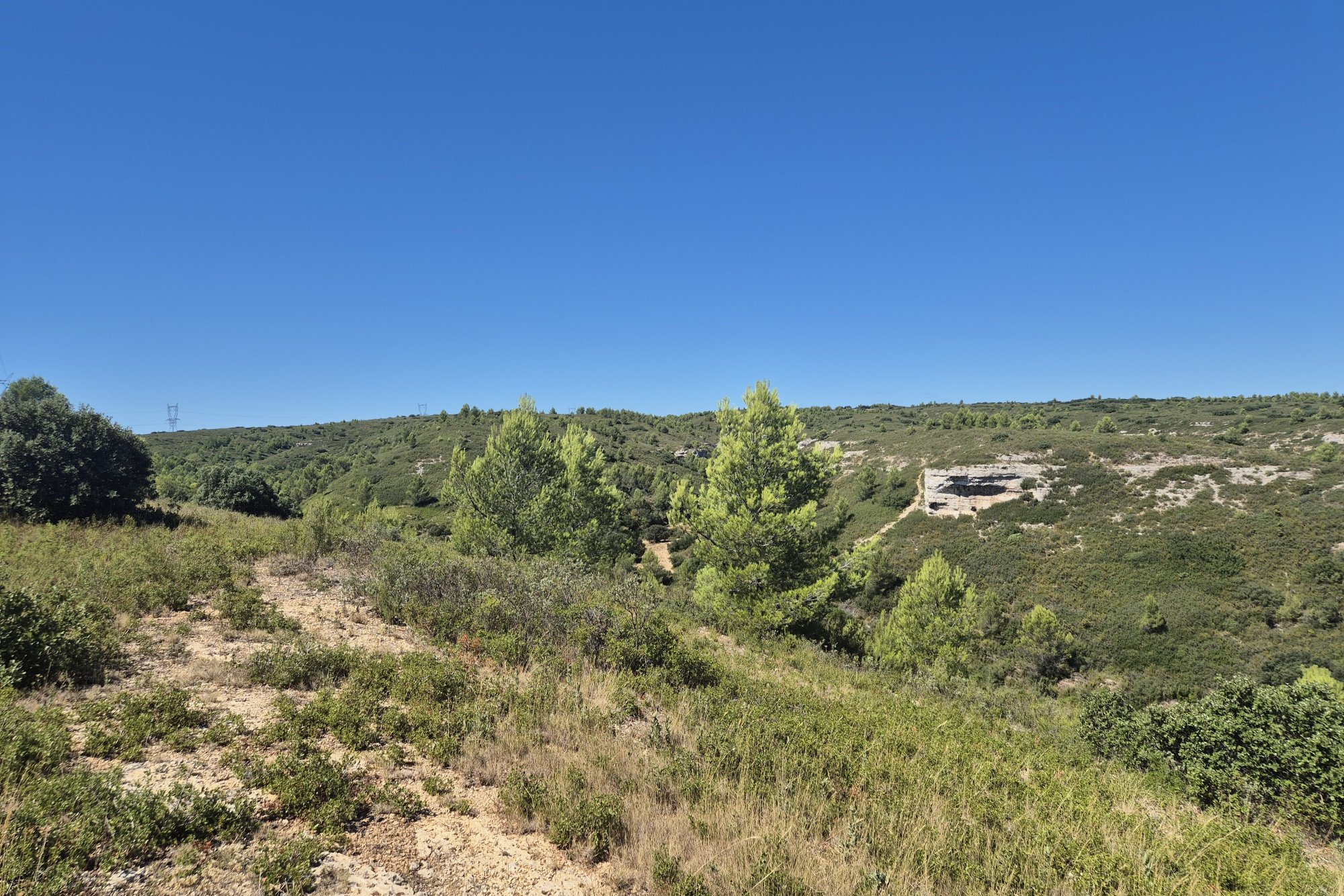 Vue du 31/08/2025
