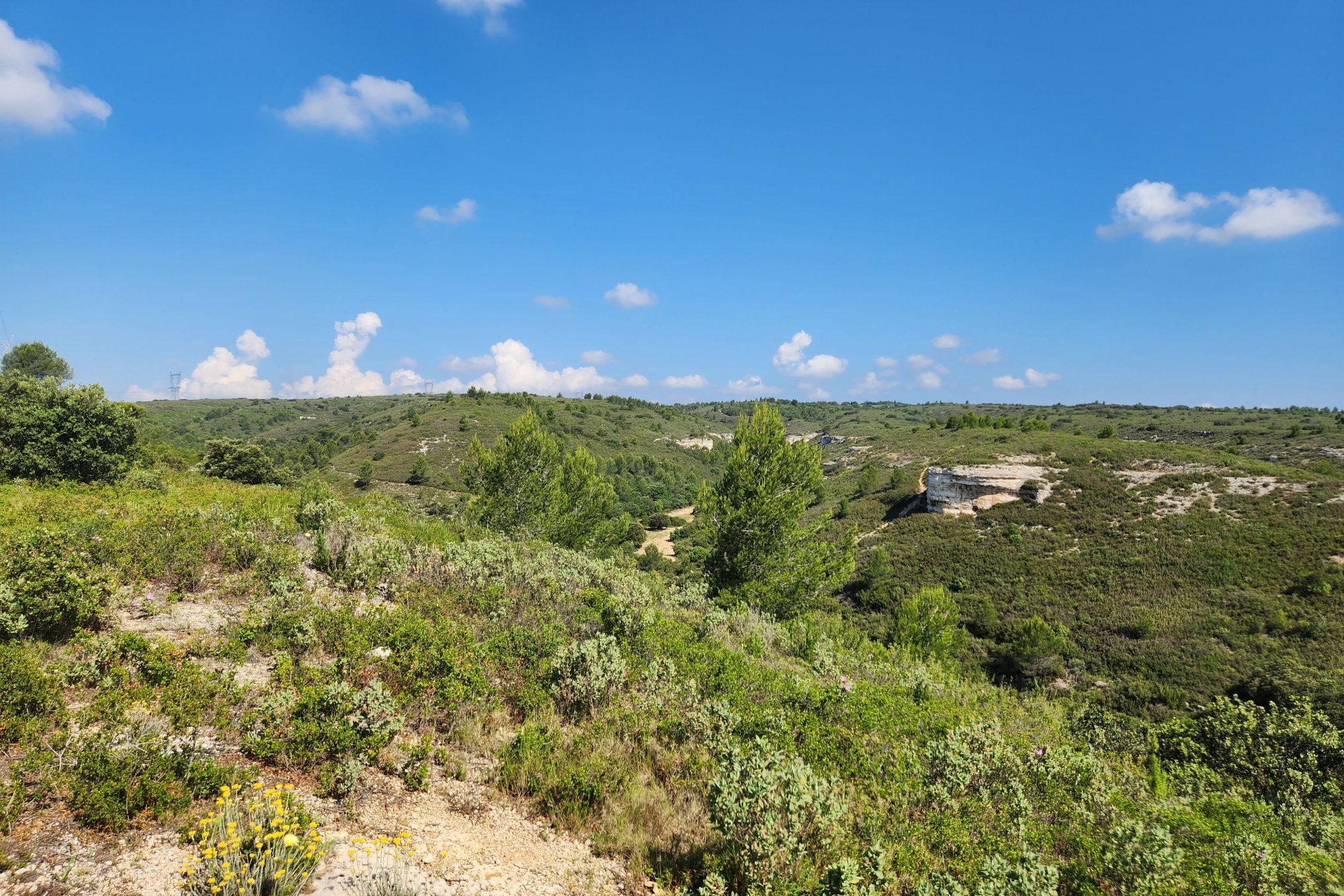 Vue du 03/06/2023