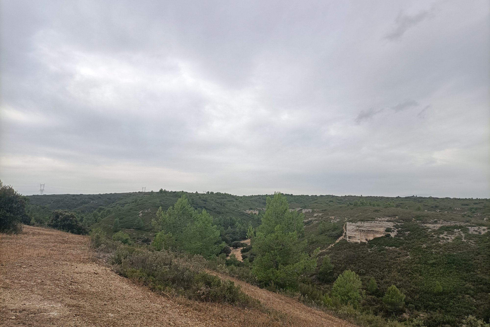 Vue du 29/10/2023