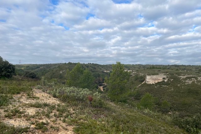 Vue du 01/12/2024