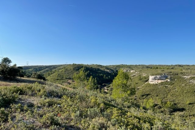 Vue du 10/10/2021
