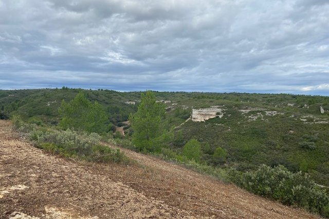 Vue du 06/11/2023