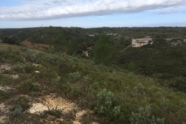 Vue du 13/11/2021