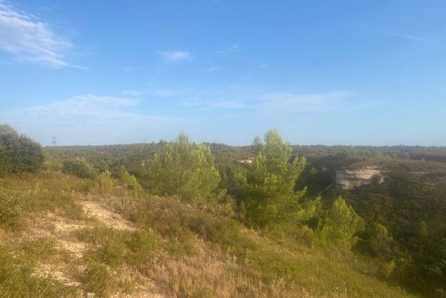 Vue du 15/08/2026