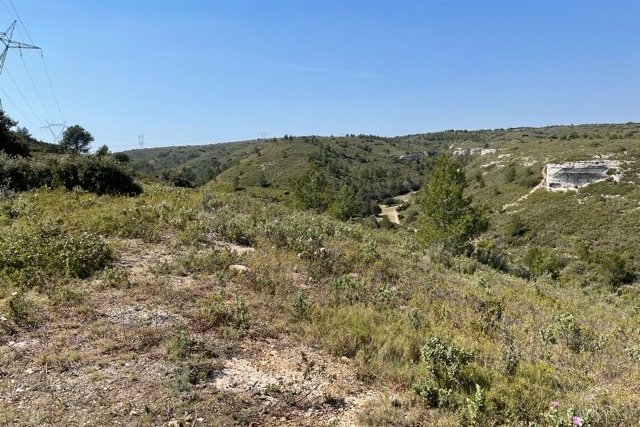Vue du 24/04/2021